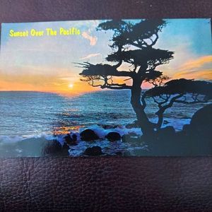 Set of 10 Vintage Postcards - California and Nevada
